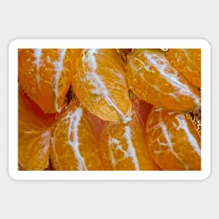 Gloss Slices of Mandarin Sticker
